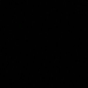 Meet your Posher, Lily